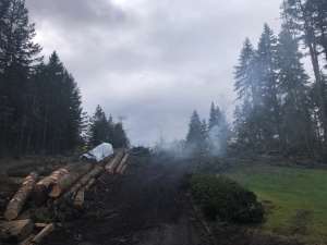 Lot Clearing After